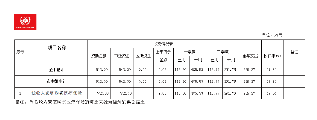 2020年上半年福利彩票公益金使用情况表.png