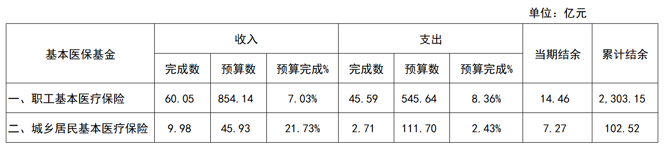 24年1月预算执行表.png